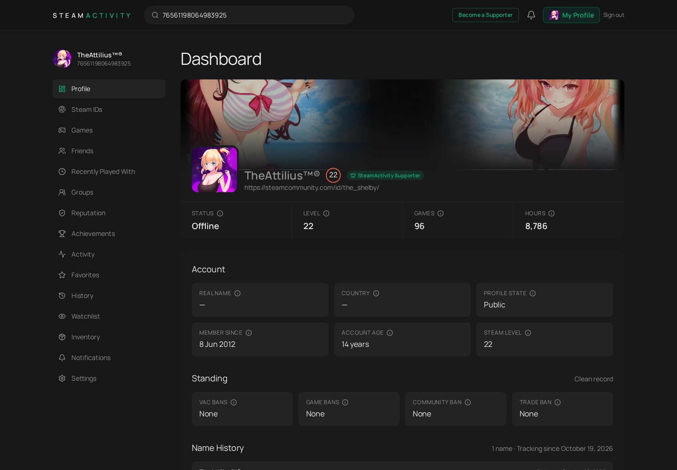 SteamActivity Overview view